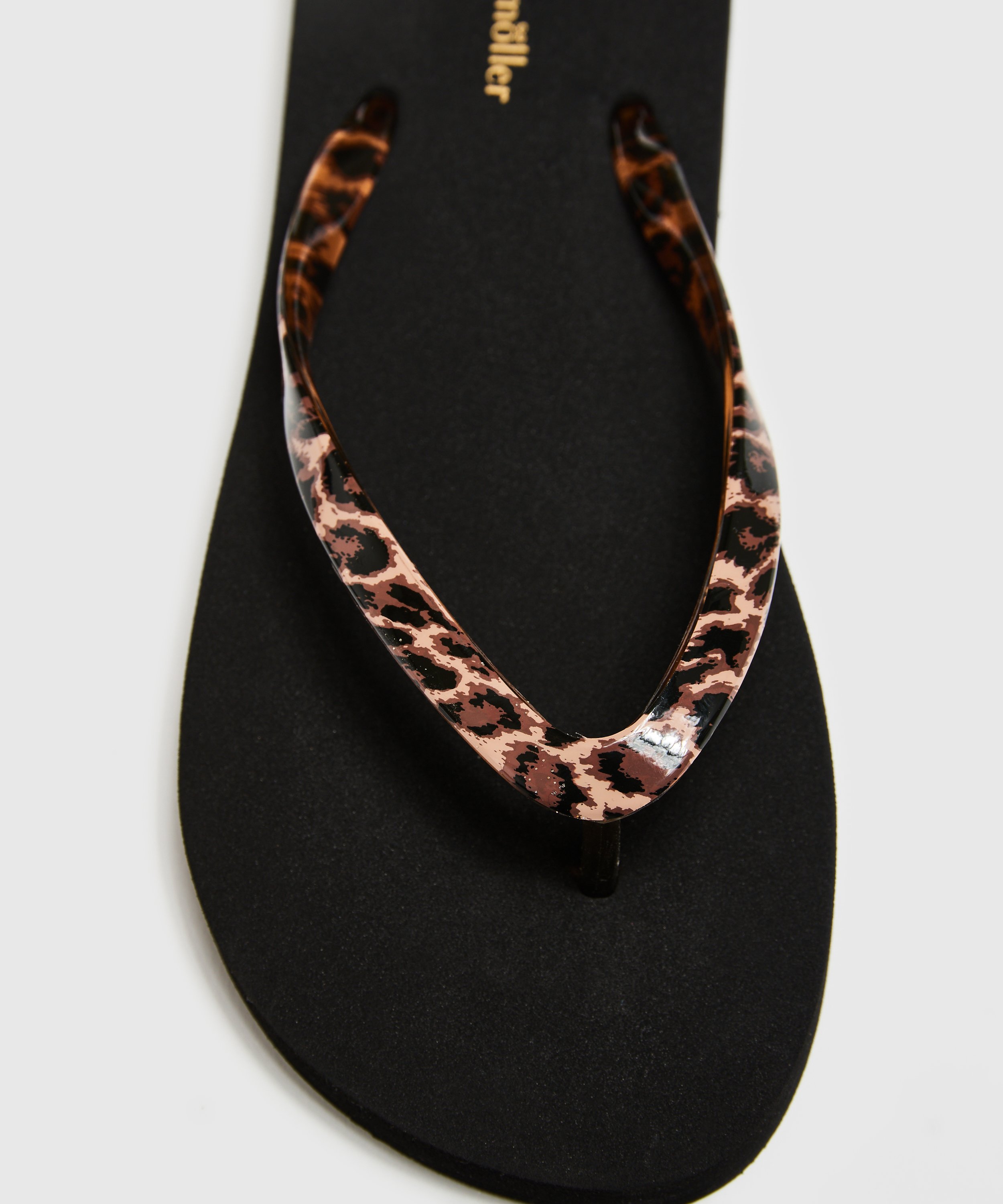 Fancy klipklappere, sort, main