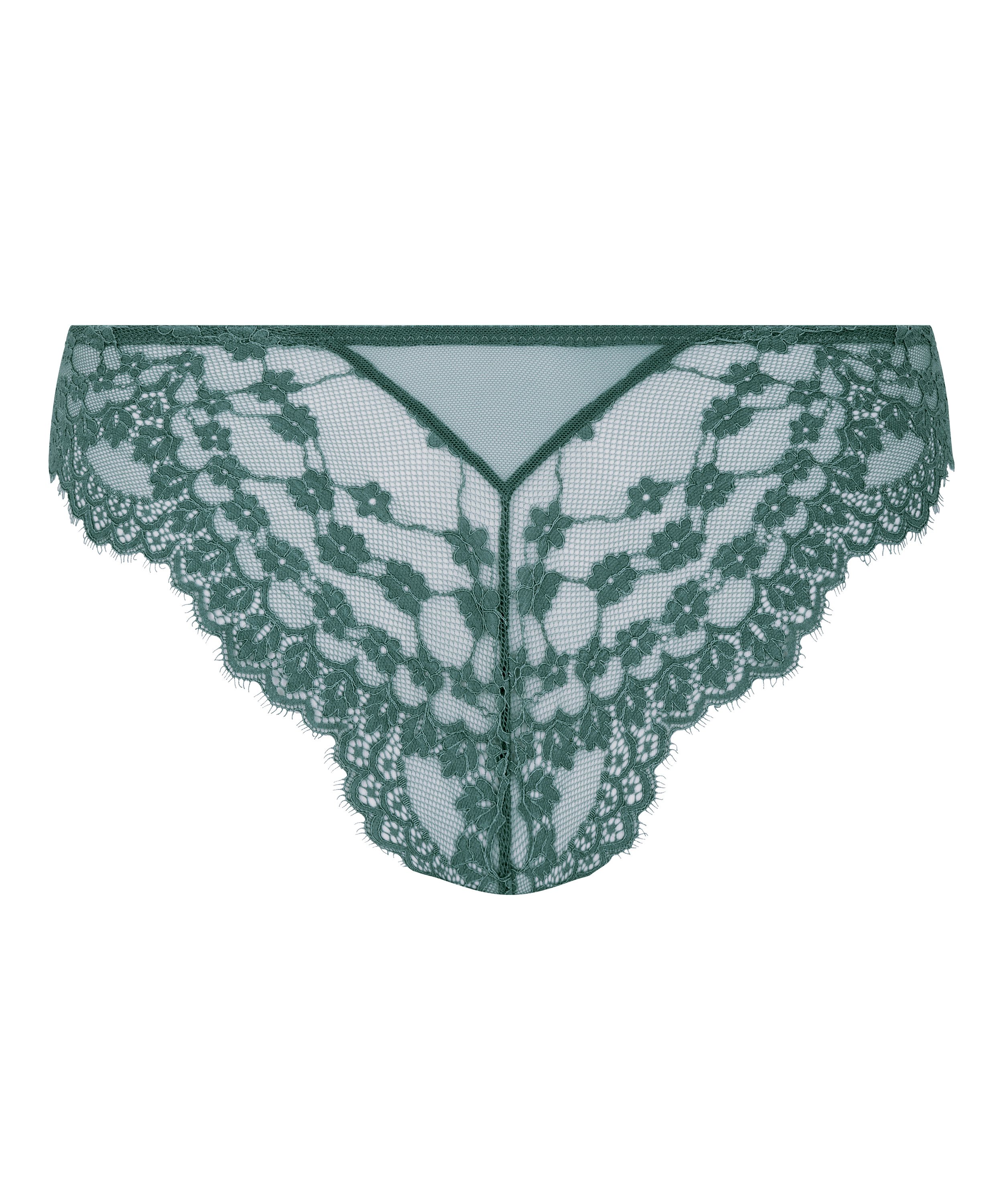 Brasiliansk trusse Daisy, Bl&aring;, main