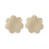 2 par Satin brystvorteskjulere, Beige