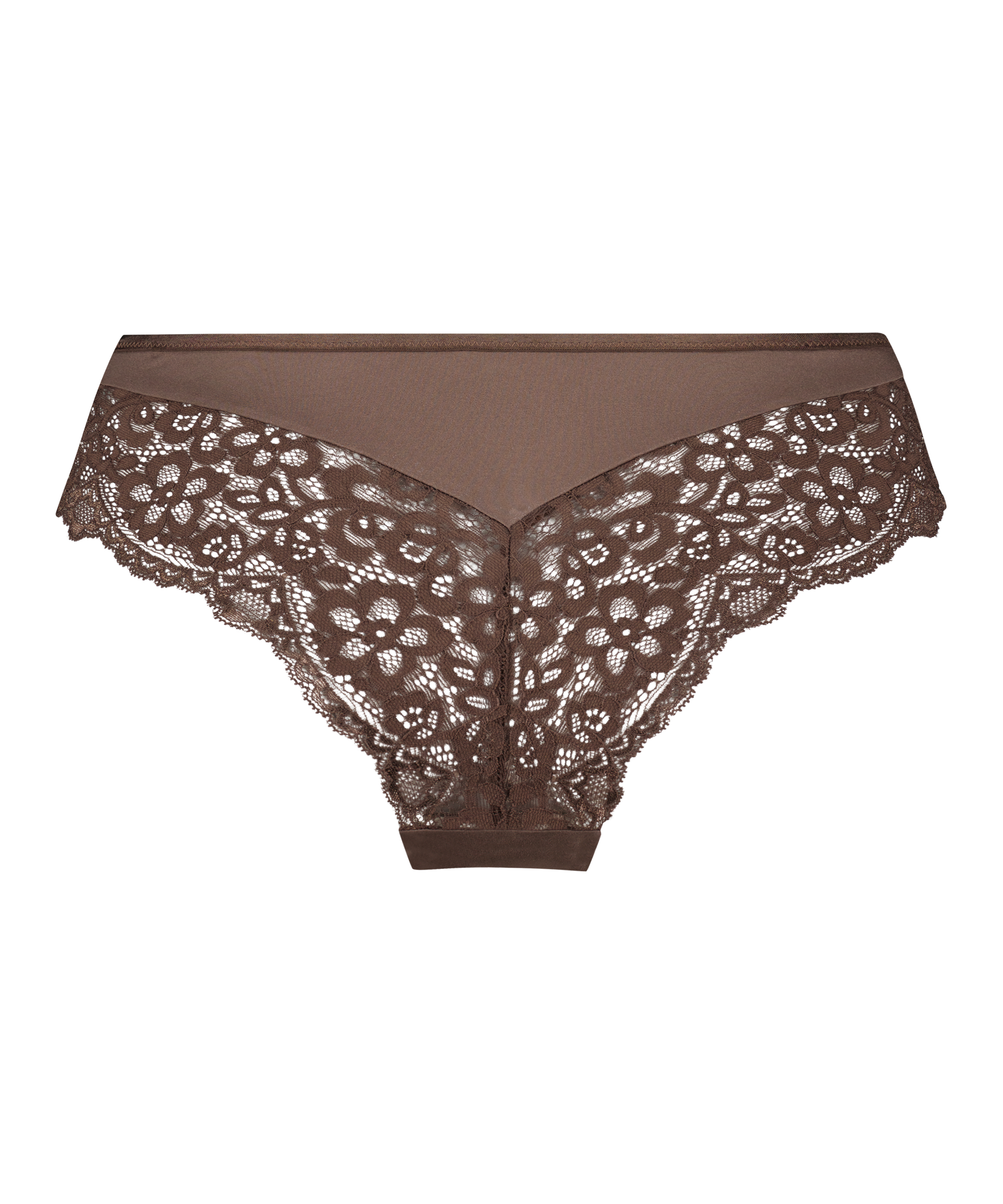 Brasiliansk trusse Marine, Brun, main