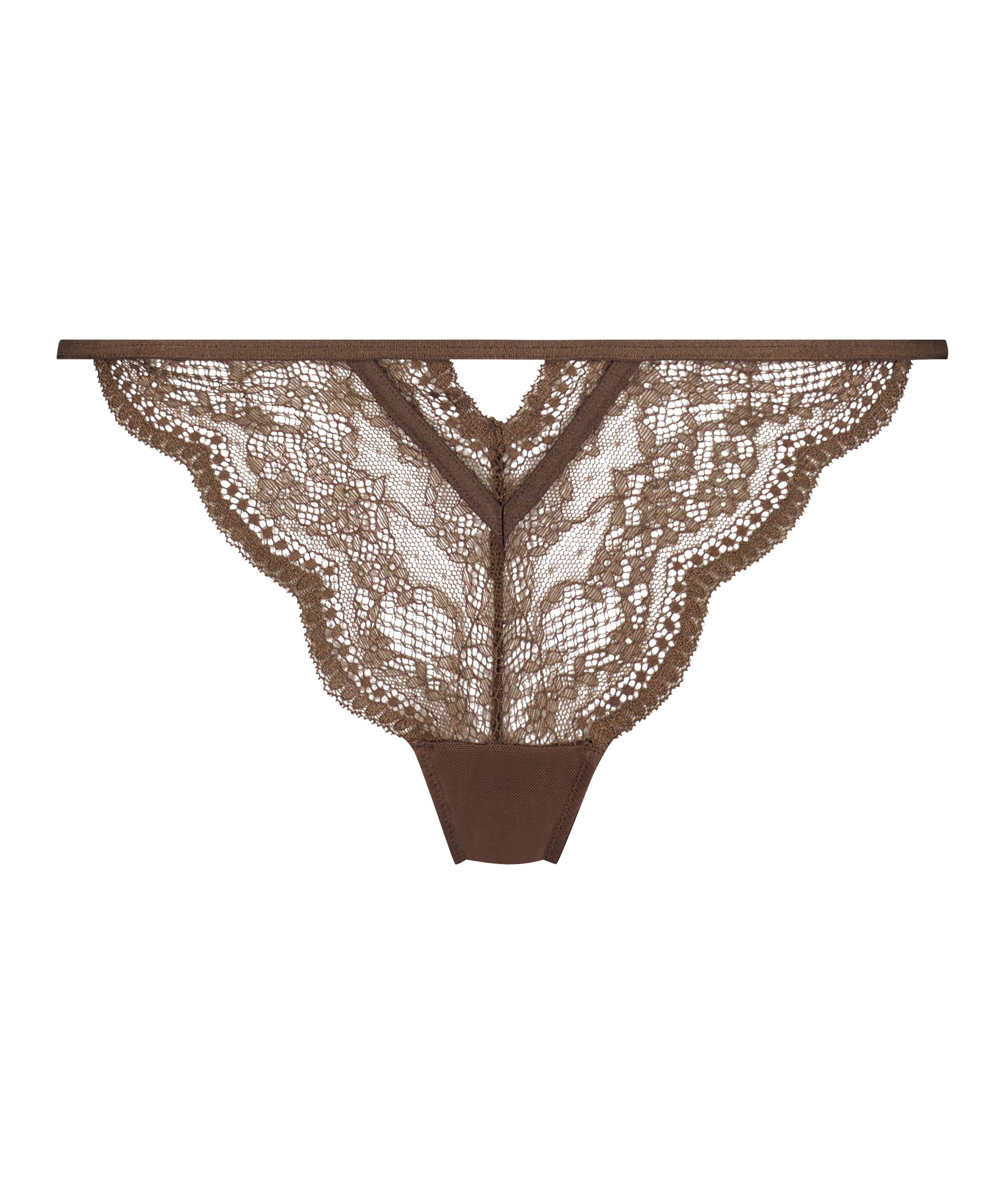 Brasiliansk trusse Isabelle, Brown, main