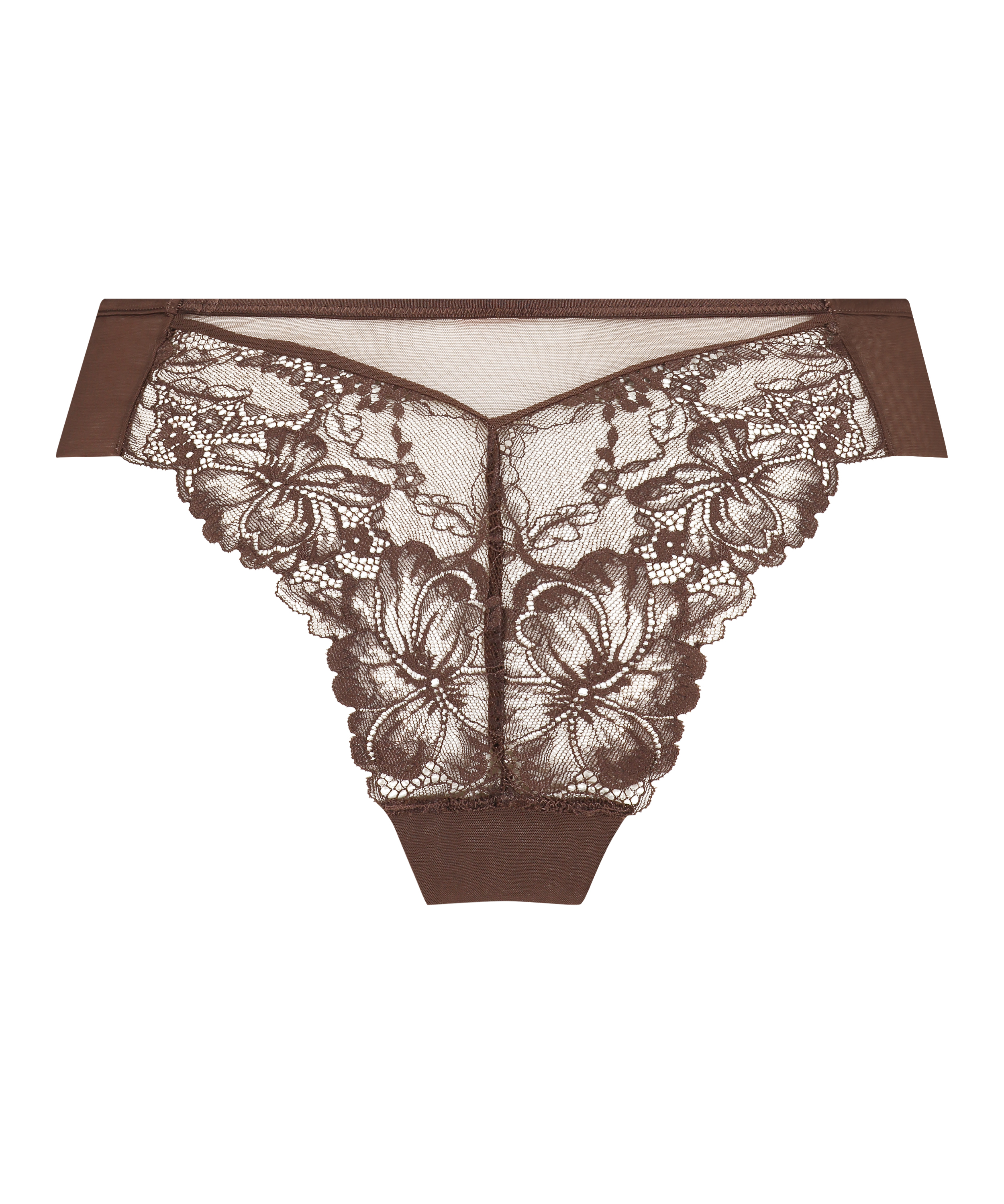 Brasiliansk trusse Patrice, Brown, main