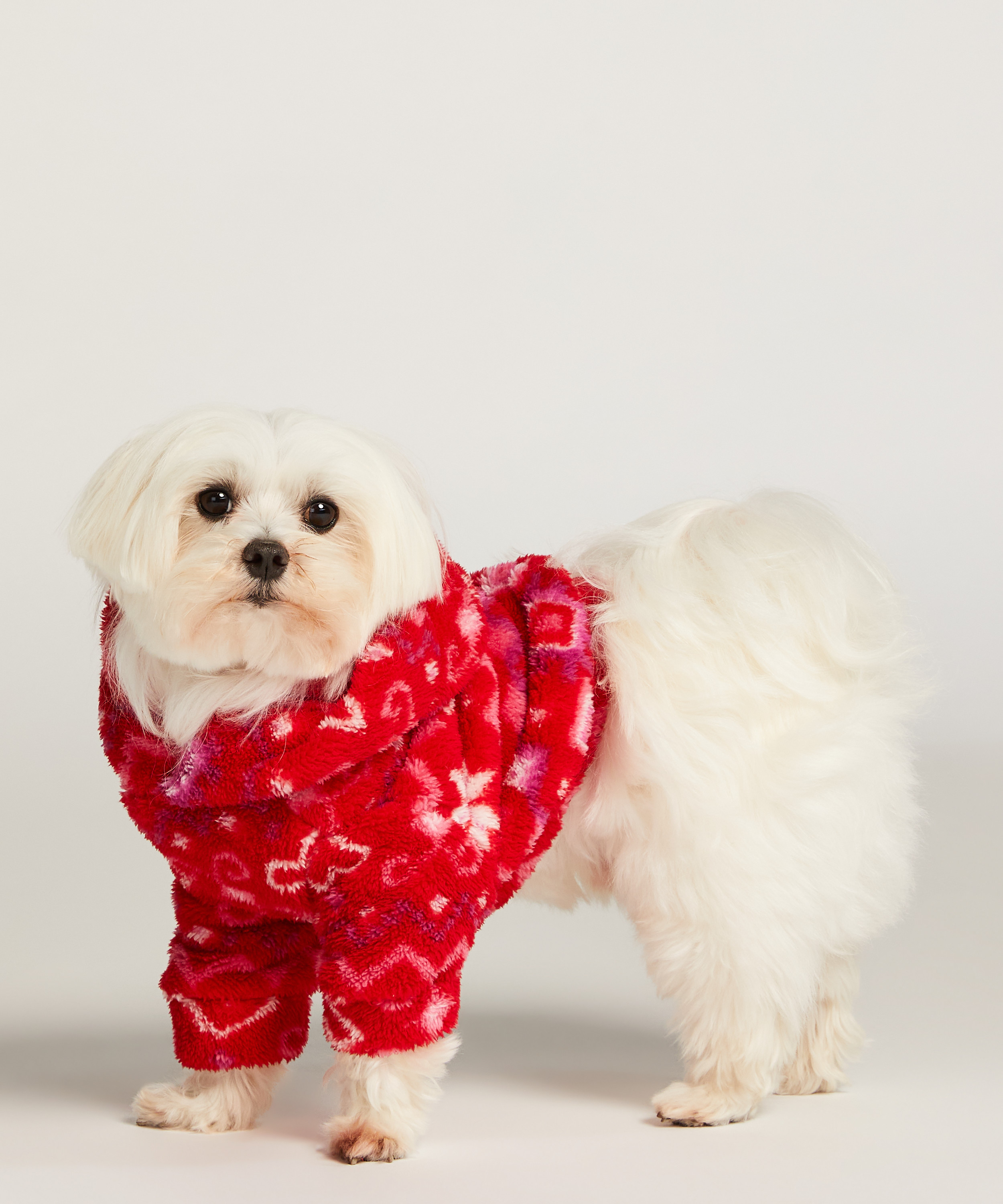 Hunde-onesie, rød, main
