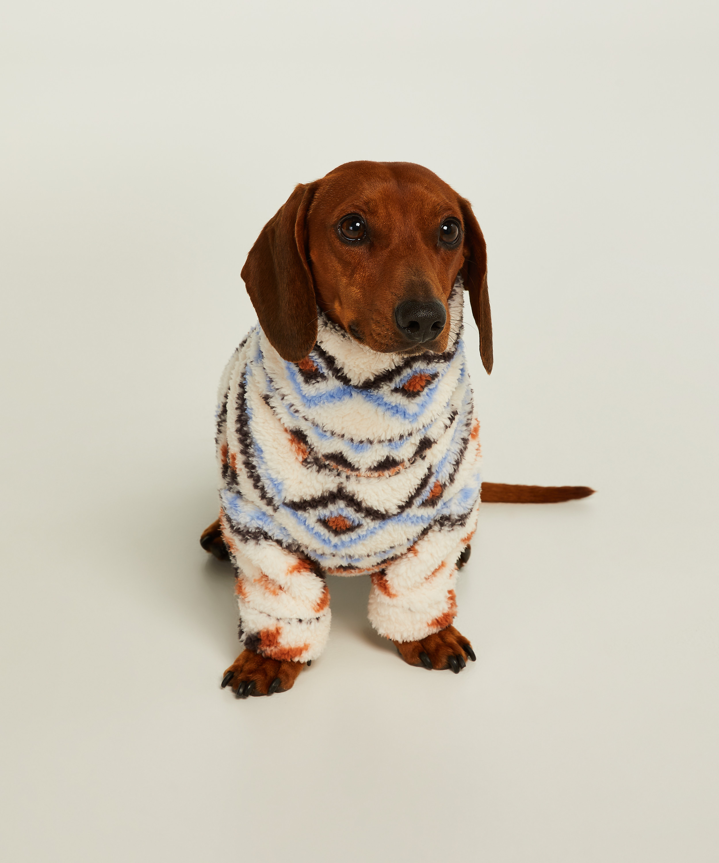 Hunde-onesie, Hvid, main