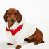 Fleece hunde-onesie, Hvid
