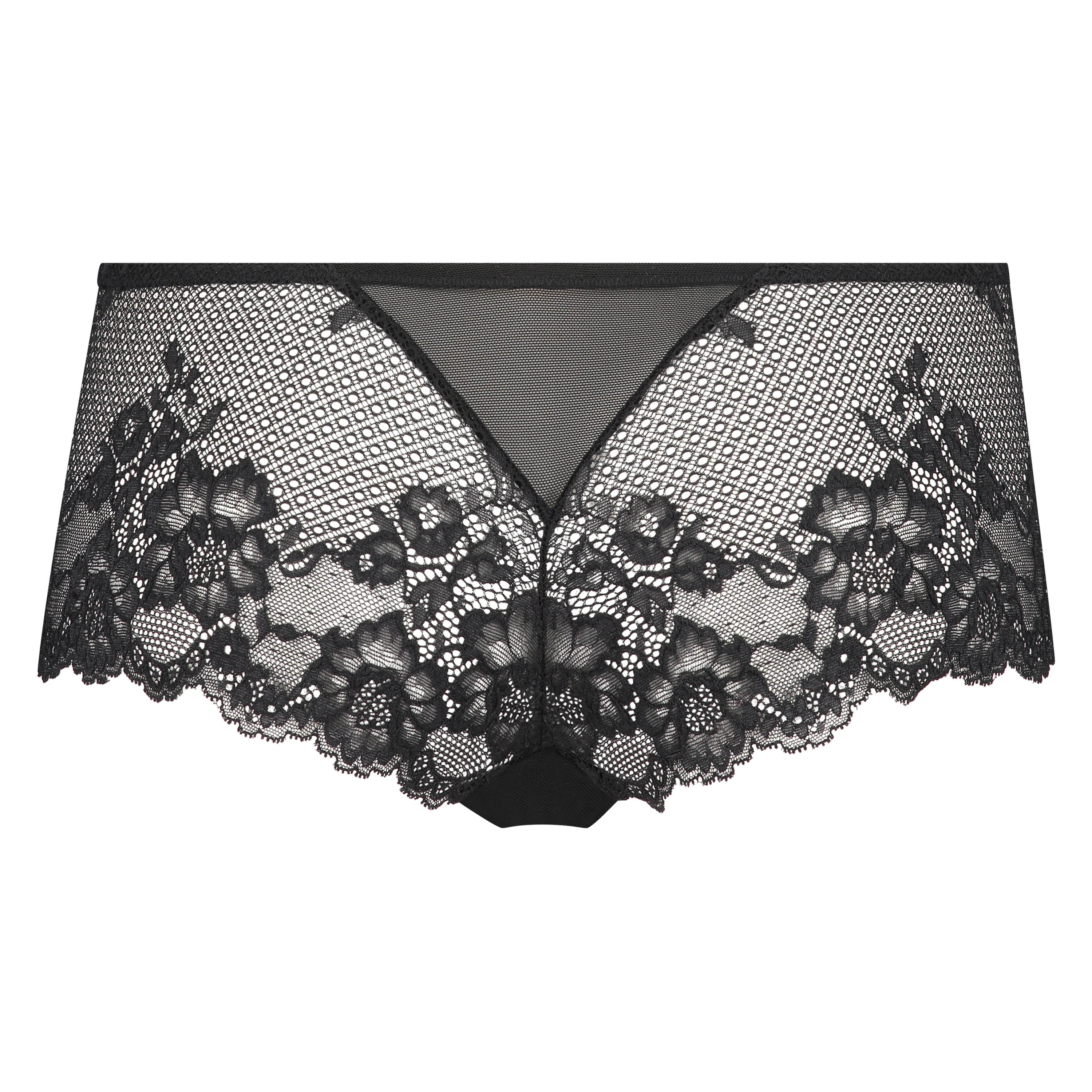 Boxer Echo, sort, main