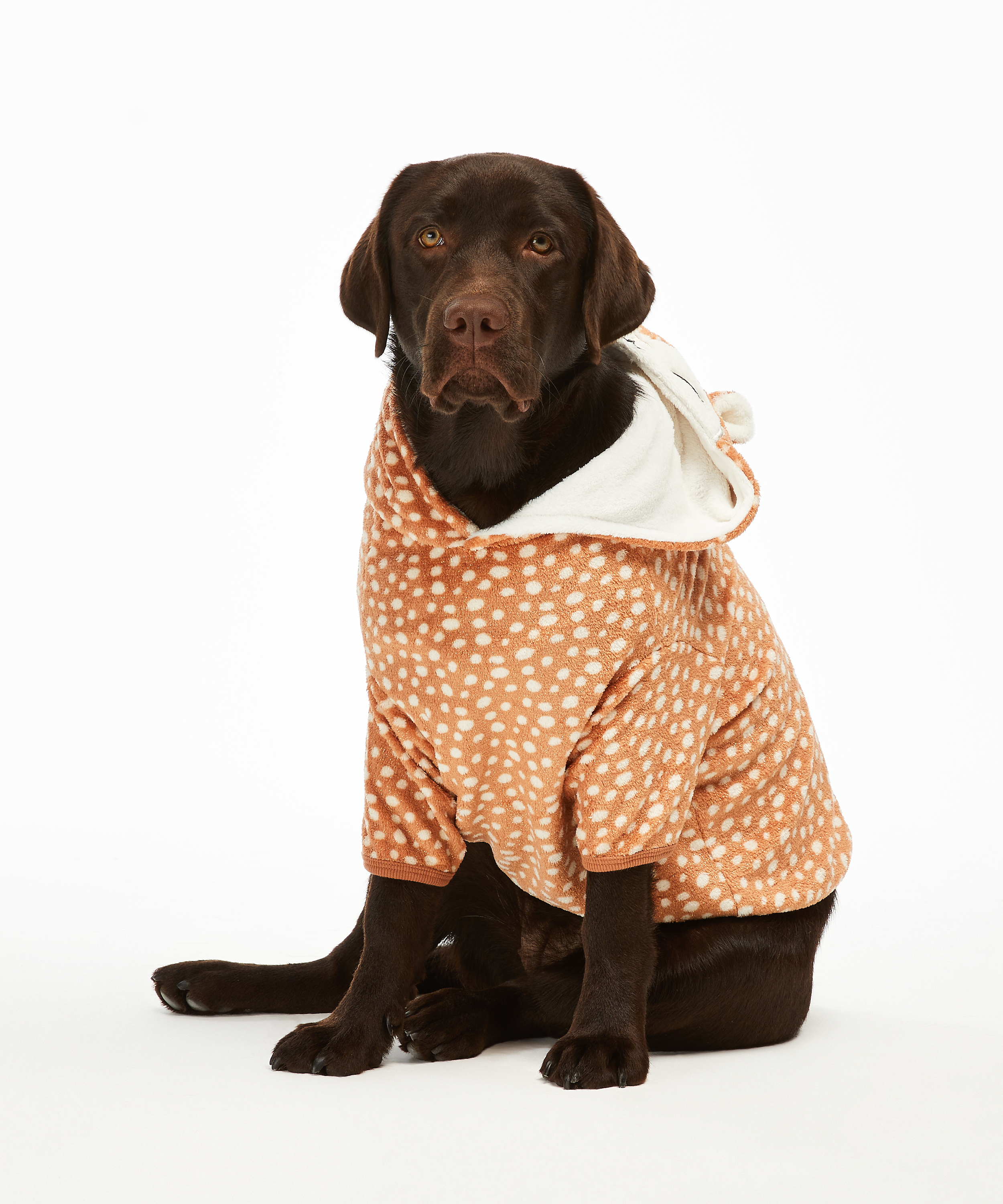 Fleece hunde-onesie, Brun, main