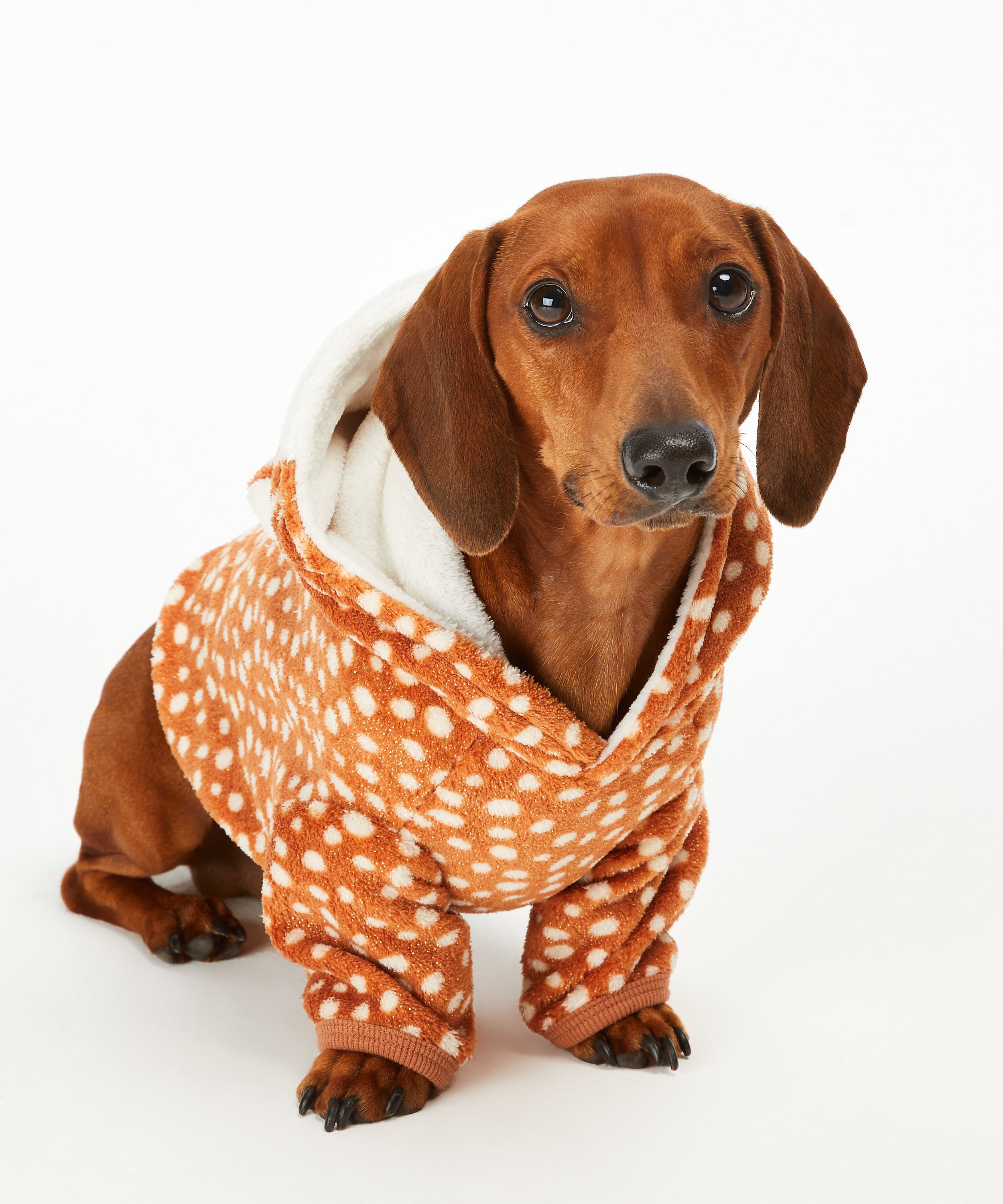 Fleece hunde-onesie, Brun, main