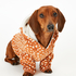 Fleece hunde-onesie, Brun