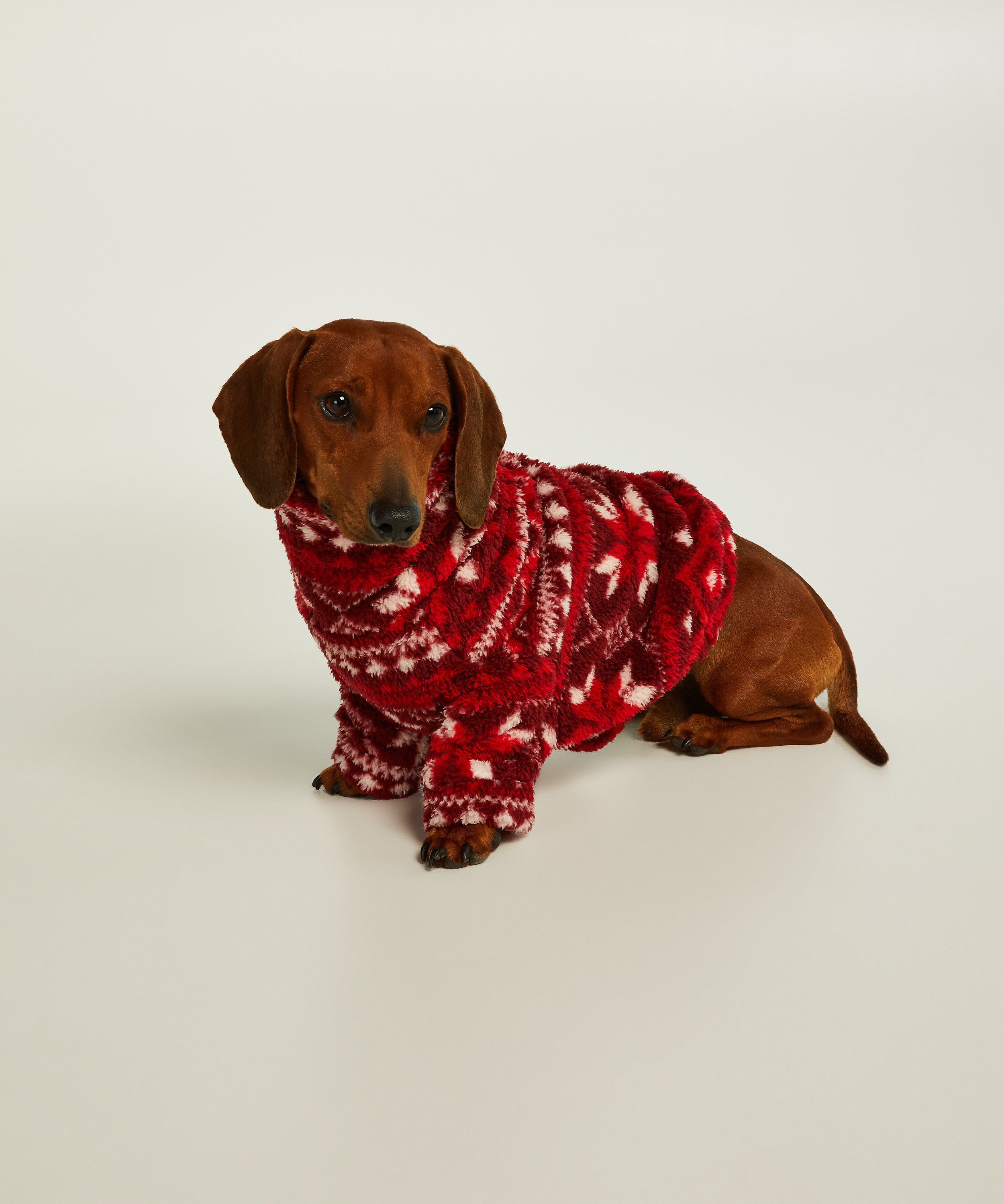 Sweat hunde-onesie, rød, main