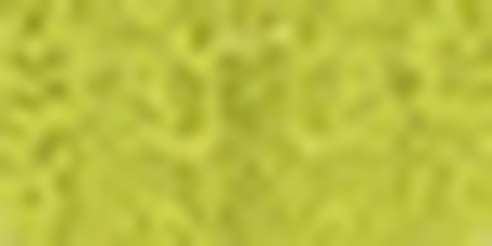 Brasiliansk trusse bundløs Nisha, Grøn