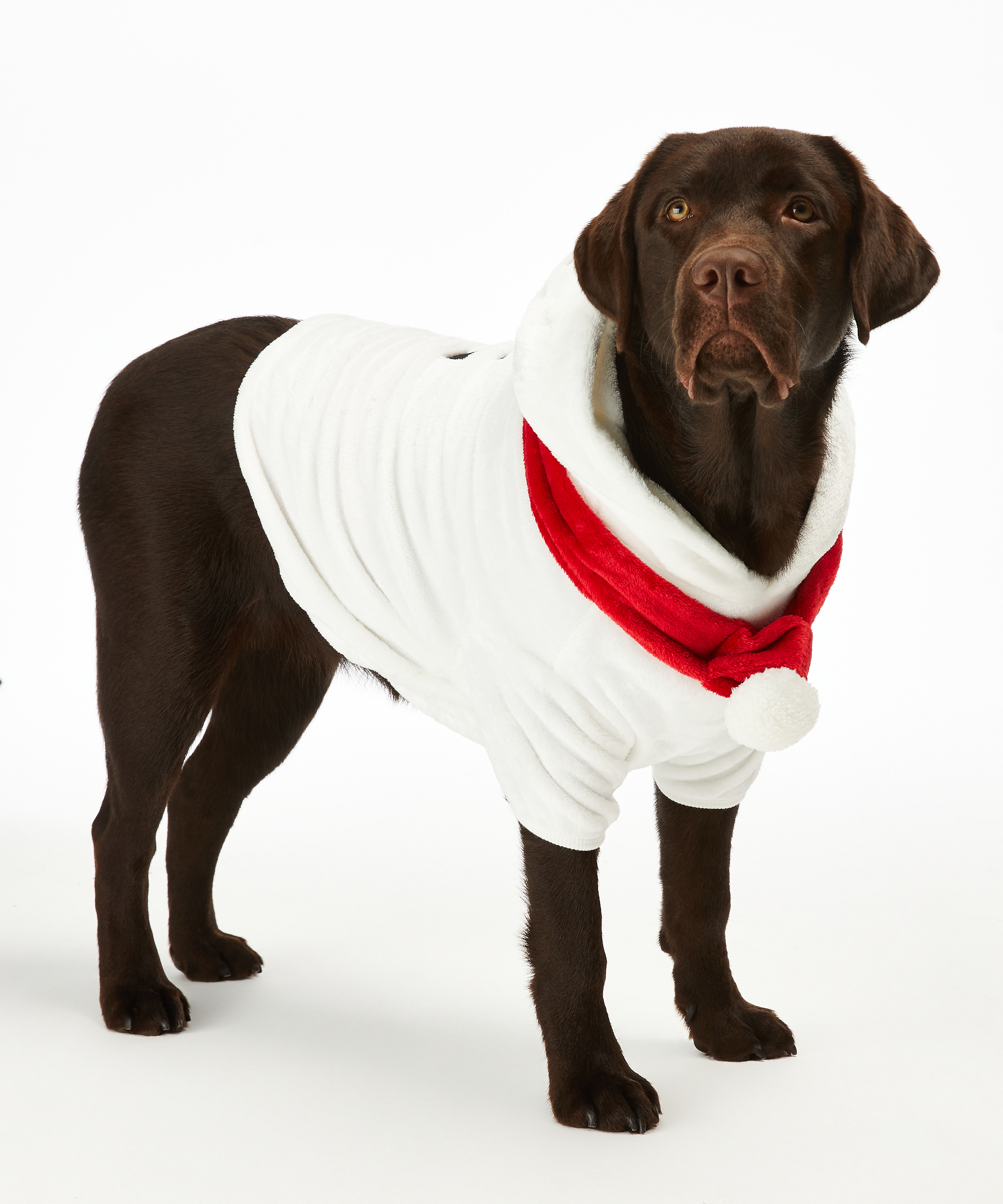 Fleece hunde-onesie, Hvid, main