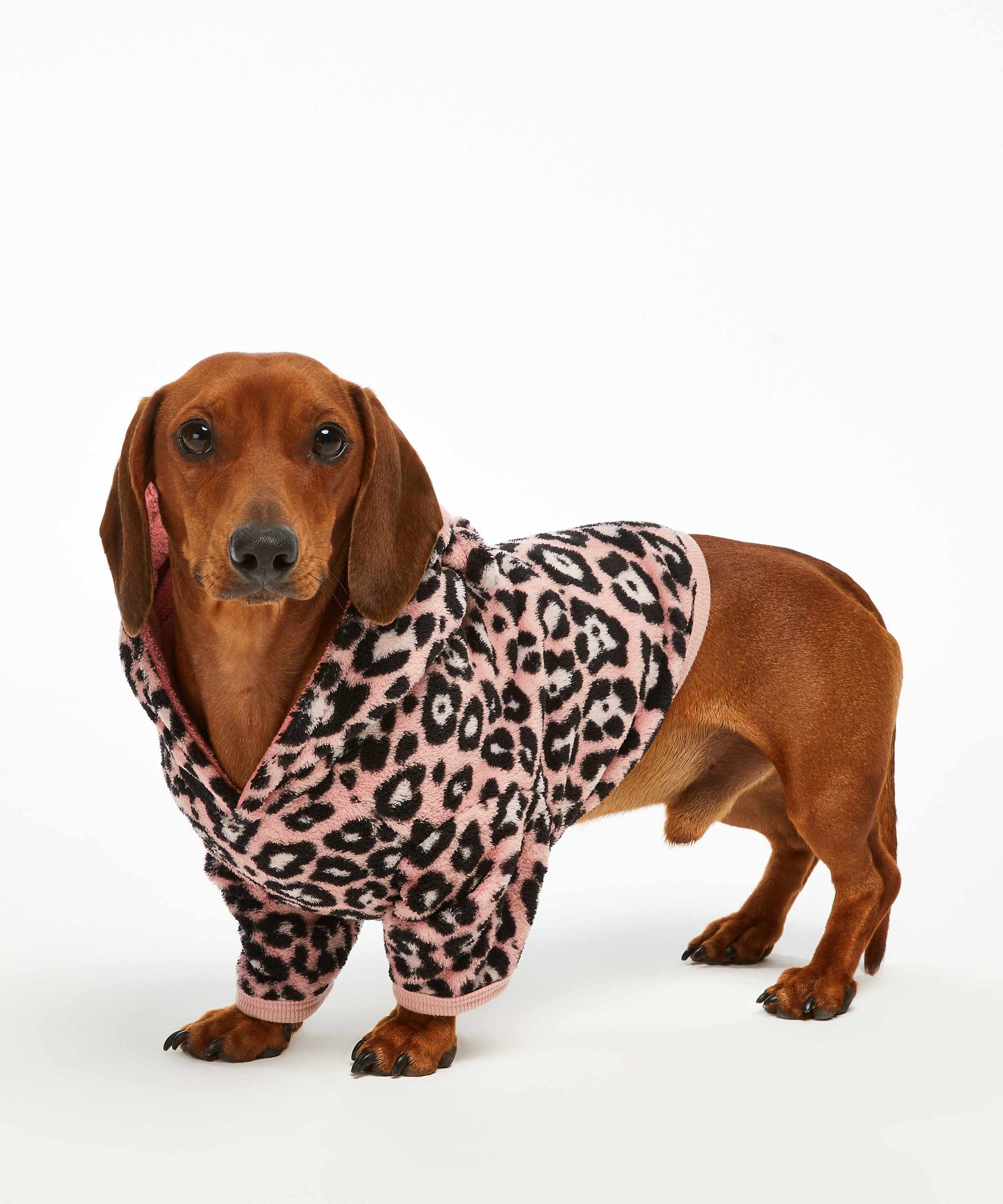 Fleece hunde-onesie, Lyser&oslash;d, main