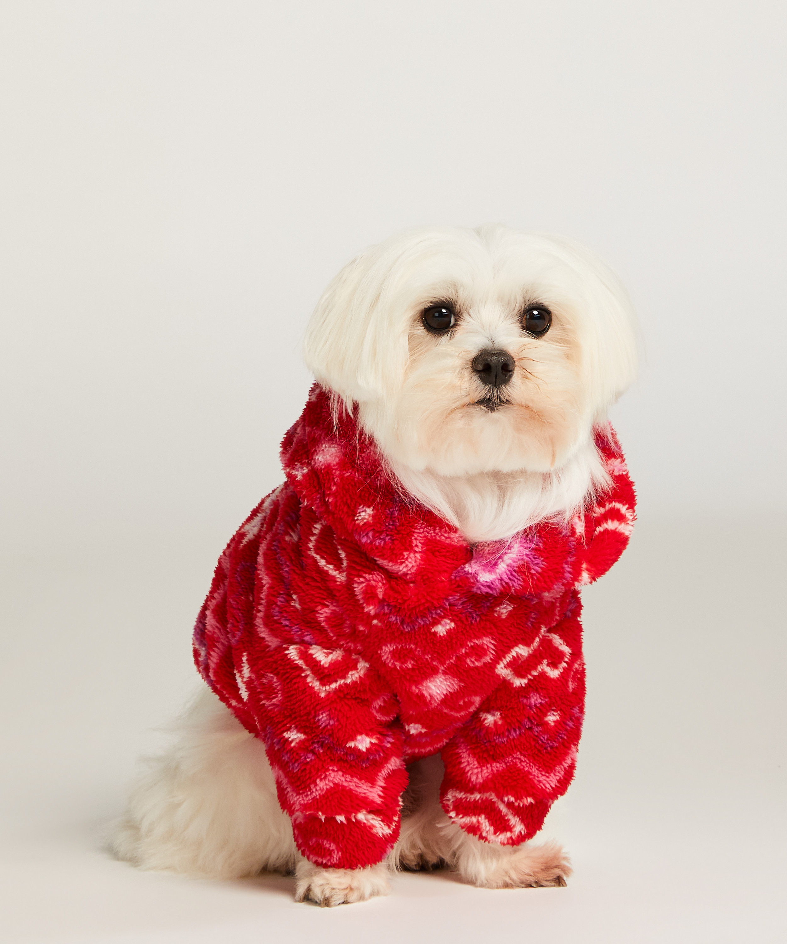 Hunde-onesie, rød, main